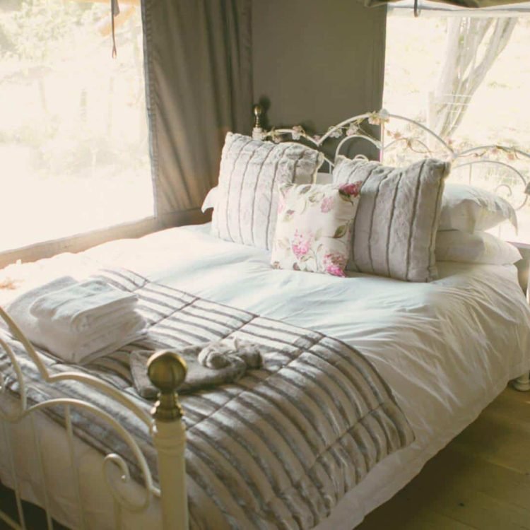 a framed bed with cushion in a safari tent